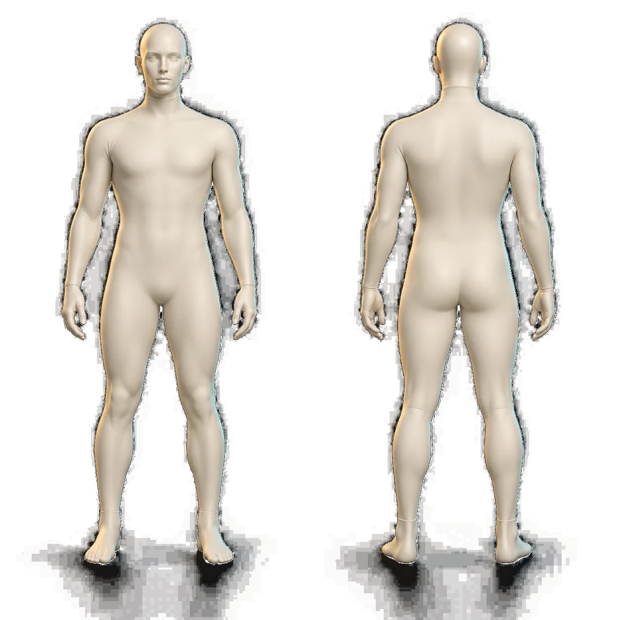 Ivory athletic mannequin showing selectable body areas